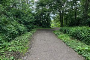 iPhone 13 f/1.6 1/422sec ISO-50 5.1mm