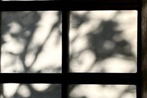 iPhone 13 f/1.6 1/864sec ISO-50 5.1mm