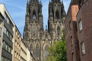 iPhone 13 f/1.6 1/2755sec ISO-50 5.1mm