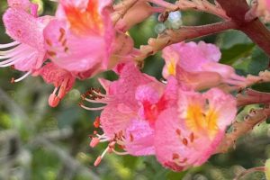 iPhone 13 f/1.6 1/254sec ISO-40 5.1mm