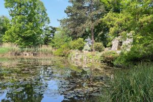 iPhone 13 f/1.6 1/810sec ISO-50 5.1mm