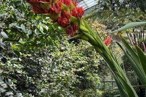 iPhone 13 f/1.6 1/319sec ISO-50 5.1mm