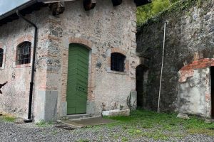 iPhone 13 f/1.6 1/208sec ISO-50 5.1mm