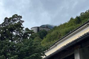 iPhone 13 f/1.6 1/1309sec ISO-50 5.1mm