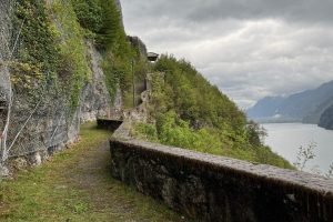 iPhone 13 f/1.6 1/569sec ISO-50 5.1mm