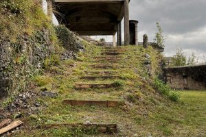 iPhone 13 f/1.6 1/268sec ISO-40 5.1mm