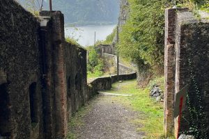 iPhone 13 f/1.6 1/181sec ISO-50 5.1mm