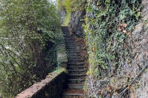 iPhone 13 f/1.6 1/136sec ISO-50 5.1mm