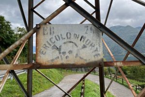 iPhone 13 f/1.6 1/701sec ISO-50 5.1mm