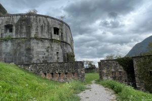 iPhone 13 f/2.4 1/270sec ISO-32 1.54mm