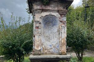 iPhone 13 f/1.6 1/951sec ISO-50 5.1mm