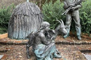 iPhone 13 f/1.6 1/261sec ISO-50 5.1mm