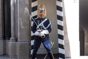 OLYMPUS DIGITAL CAMERA E-M10 OLYMPUS DIGITAL CAMERA f/6.3 1/125sec ISO-200 42mm