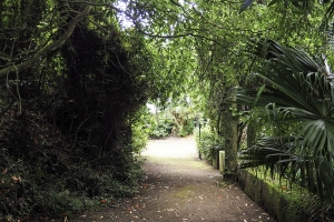 OLYMPUS DIGITAL CAMERA E-M10 OLYMPUS DIGITAL CAMERA f/4 1/40sec ISO-250 18mm