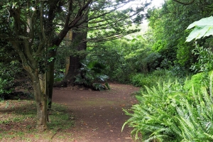 OLYMPUS DIGITAL CAMERA E-M10 OLYMPUS DIGITAL CAMERA f/4.5 1/50sec ISO-200 18mm