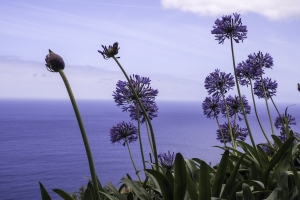 OLYMPUS DIGITAL CAMERA E-M10 OLYMPUS DIGITAL CAMERA f/11 1/640sec ISO-200 26mm