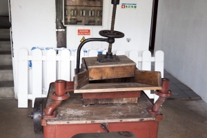 OLYMPUS DIGITAL CAMERA E-M10 OLYMPUS DIGITAL CAMERA f/3.5 1/60sec ISO-200 14mm