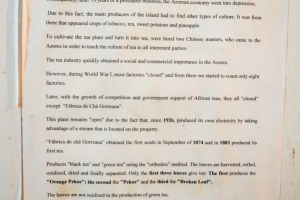 OLYMPUS DIGITAL CAMERA E-M10 OLYMPUS DIGITAL CAMERA f/3.5 1/30sec ISO-1600 14mm