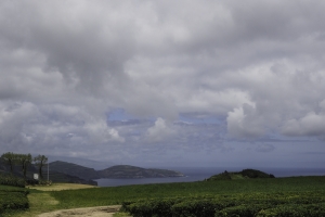 OLYMPUS DIGITAL CAMERA E-M10 OLYMPUS DIGITAL CAMERA f/11 1/500sec ISO-200 28mm