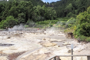 OLYMPUS DIGITAL CAMERA E-M10 OLYMPUS DIGITAL CAMERA f/9 1/500sec ISO-200 14mm