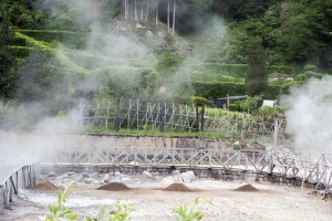 OLYMPUS DIGITAL CAMERA E-M10 OLYMPUS DIGITAL CAMERA f/9 1/200sec ISO-200 33mm