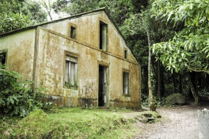 OLYMPUS DIGITAL CAMERA E-M10 OLYMPUS DIGITAL CAMERA f/4.5 1/100sec ISO-200 20mm