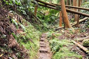 OLYMPUS DIGITAL CAMERA E-M10 OLYMPUS DIGITAL CAMERA f/3.5 1/60sec ISO-200 14mm