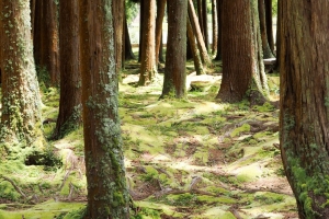 OLYMPUS DIGITAL CAMERA E-M10 OLYMPUS DIGITAL CAMERA f/6.3 1/125sec ISO-200 38mm