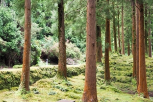 OLYMPUS DIGITAL CAMERA E-M10 OLYMPUS DIGITAL CAMERA f/4.5 1/60sec ISO-400 22mm