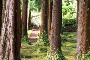 OLYMPUS DIGITAL CAMERA E-M10 OLYMPUS DIGITAL CAMERA f/5.6 1/80sec ISO-320 38mm