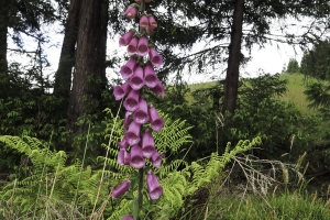 OLYMPUS DIGITAL CAMERA E-M10 OLYMPUS DIGITAL CAMERA f/5 1/160sec ISO-200 14mm