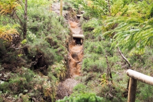 OLYMPUS DIGITAL CAMERA E-M10 OLYMPUS DIGITAL CAMERA f/5.5 1/80sec ISO-250 35mm