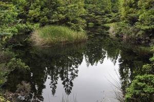 OLYMPUS DIGITAL CAMERA E-M10 OLYMPUS DIGITAL CAMERA f/4.5 1/125sec ISO-200 14mm