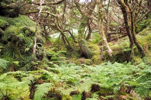 OLYMPUS DIGITAL CAMERA E-M10 OLYMPUS DIGITAL CAMERA f/5 1/60sec ISO-640 29mm