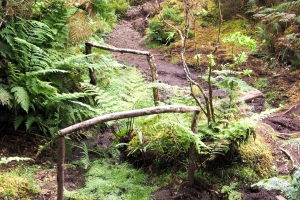 OLYMPUS DIGITAL CAMERA E-M10 OLYMPUS DIGITAL CAMERA f/5 1/60sec ISO-500 29mm