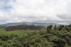 OLYMPUS DIGITAL CAMERA E-M10 OLYMPUS DIGITAL CAMERA f/10 1/500sec ISO-200 14mm