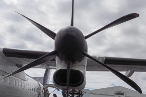 OLYMPUS DIGITAL CAMERA E-M10 OLYMPUS DIGITAL CAMERA f/11 1/640sec ISO-200 14mm