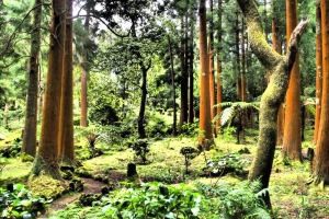 OLYMPUS DIGITAL CAMERA E-M10 OLYMPUS DIGITAL CAMERA f/3.5 1/60sec ISO-400 14mm