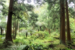 OLYMPUS DIGITAL CAMERA E-M10 OLYMPUS DIGITAL CAMERA f/3.5 1/60sec ISO-320 14mm