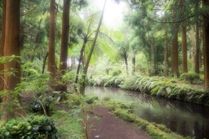 OLYMPUS DIGITAL CAMERA E-M10 OLYMPUS DIGITAL CAMERA f/3.5 1/60sec ISO-400 14mm