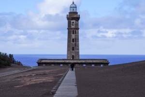 OLYMPUS DIGITAL CAMERA E-M10 OLYMPUS DIGITAL CAMERA f/11 1/500sec ISO-200 42mm