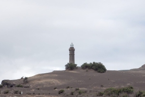 OLYMPUS DIGITAL CAMERA E-M10 OLYMPUS DIGITAL CAMERA f/11 1/640sec ISO-200 42mm