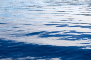 OLYMPUS DIGITAL CAMERA E-M10 OLYMPUS DIGITAL CAMERA f/10 1/320sec ISO-200 42mm