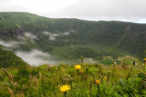 OLYMPUS DIGITAL CAMERA E-M10 OLYMPUS DIGITAL CAMERA f/5 1/160sec ISO-200 14mm