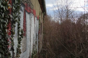 Canon EOS 90D f/4 1/4000sec ISO-800 17mm Horizontal (normal)