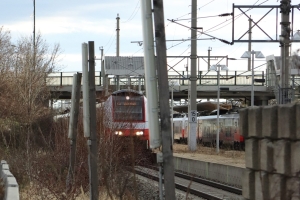 Canon EOS 90D f/5.6 1/4000sec ISO-1600 85mm Horizontal (normal)