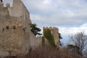 Canon EOS 90D f/5 1/4000sec ISO-1250 44mm Horizontal (normal)