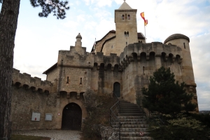 Canon EOS 90D f/4 1/4000sec ISO-2000 17mm Horizontal (normal)