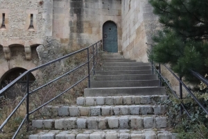 Canon EOS 90D f/4 1/4000sec ISO-6400 17mm Horizontal (normal)