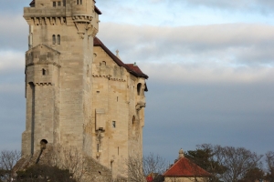 Canon EOS 90D f/5.6 1/4000sec ISO-1250 75mm Horizontal (normal)